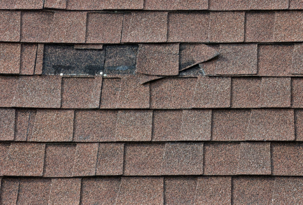damaged shingles