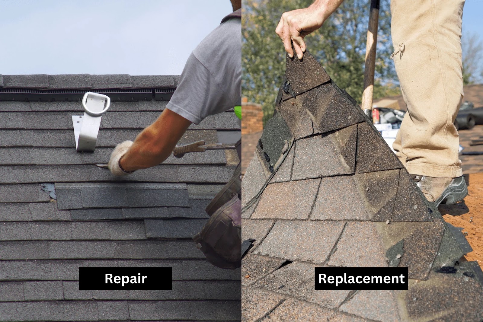 Repair or Replace? How to Make the Right Call